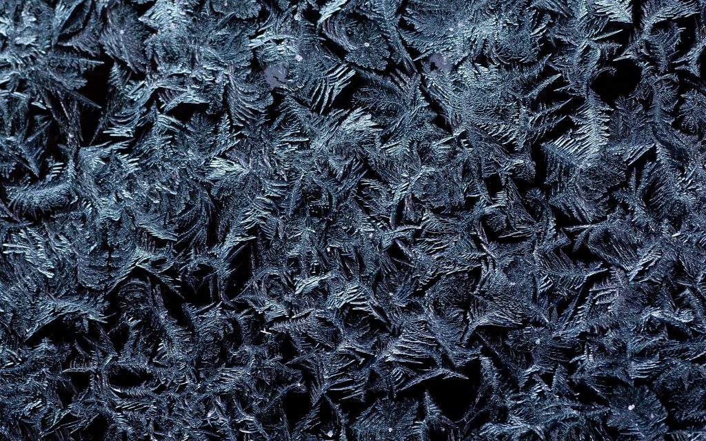Frost crystals grown thickly across a cold surface, photographed close
