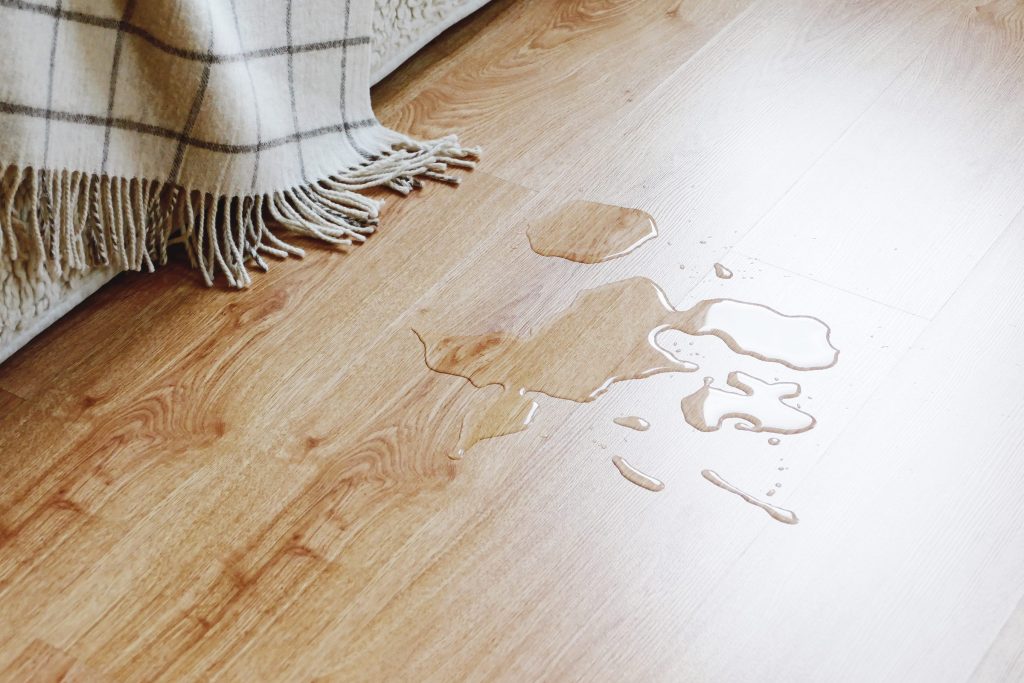 A spread of clear water across a pale wood floor beside the edge of a rug